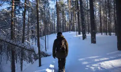 Découvrir les meilleures activités à pratiquer en Finlande